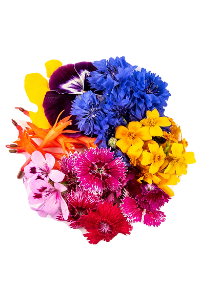 fleurs mixte
