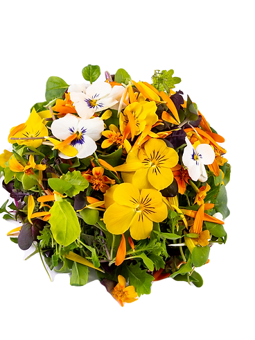 mesclun diabo