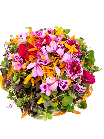 mesclun