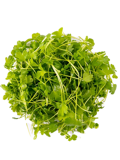 micro celeri